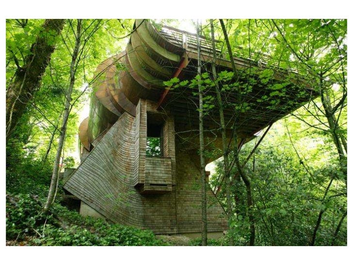 The ultimate tree house project The ultimate tree house project